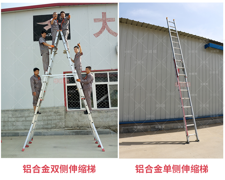 1599619882941161.jpg 未标题-1.jpg