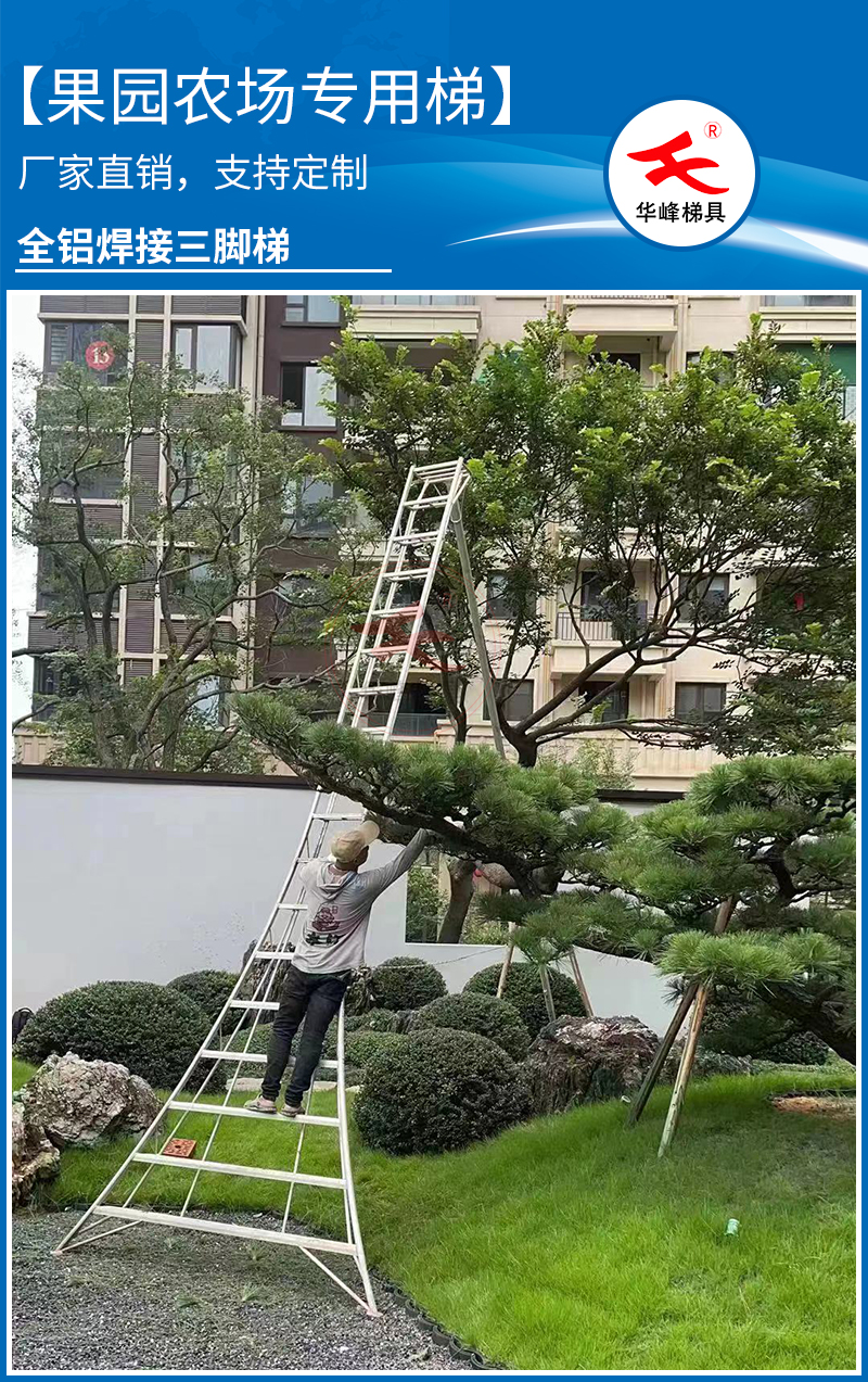 大连铝合金梯子